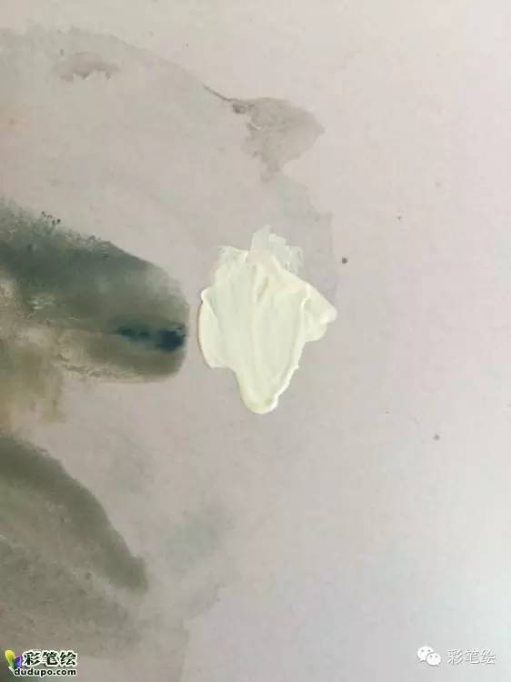 彩铅水彩画动物毛发,就这么帅!文末还有良歌吐血上绝招!