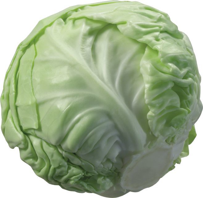 包菜千万别用刀切!这样做手撕包菜,比饭店的好吃100倍