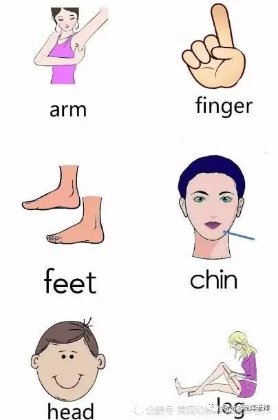 经典英语儿歌学习\/one little finger