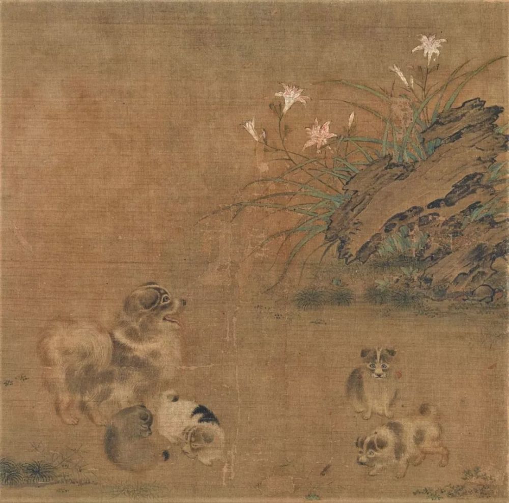 厉害了 刚刚修复完毕的 蜀葵游猫图 萱草游狗图 亮相日本大和文华馆 看点快报