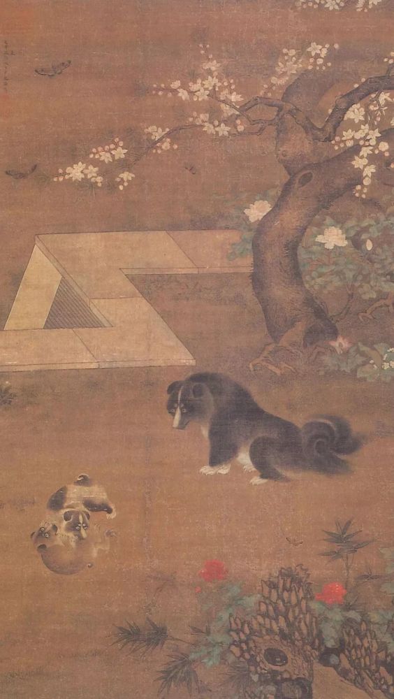 厉害了 刚刚修复完毕的 蜀葵游猫图 萱草游狗图 亮相日本大和文华馆 看点快报