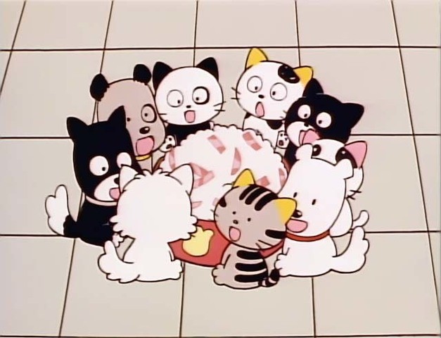 24󸴻è֡߷ֱʰ6²