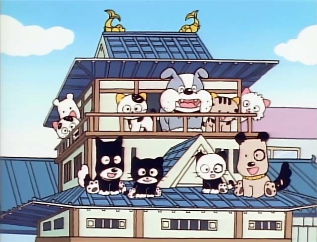 24󸴻è֡߷ֱʰ6²