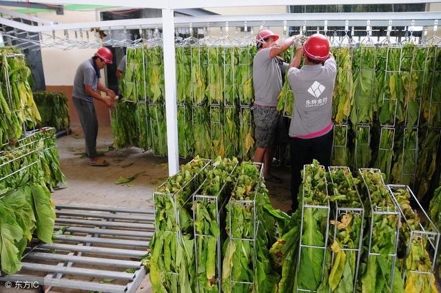 后市农业股不乏表现机会 四主线把握农业股布