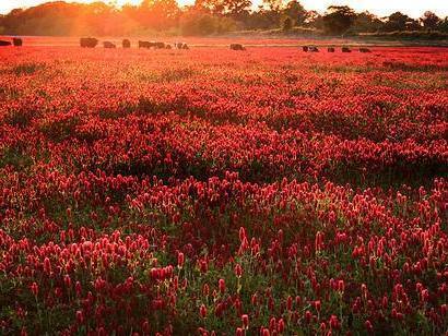 中西方古代艺术对人自身的认识和反映,你怎么