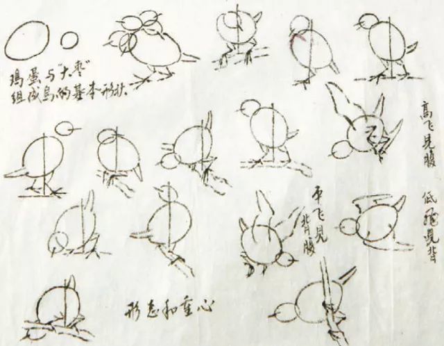 画鸟的顺序及各种姿态