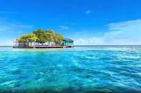 《阿凡达2》开拍,导演卡梅隆禁止全剧组吃肉,