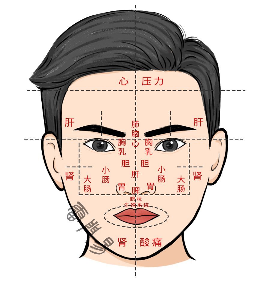 厉害的老中医都会看点相,反之,懂面相术也能粗略看一点 脏腑健康与