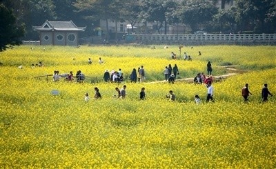 桥头镇和横沥镇GDP_东莞桥头镇