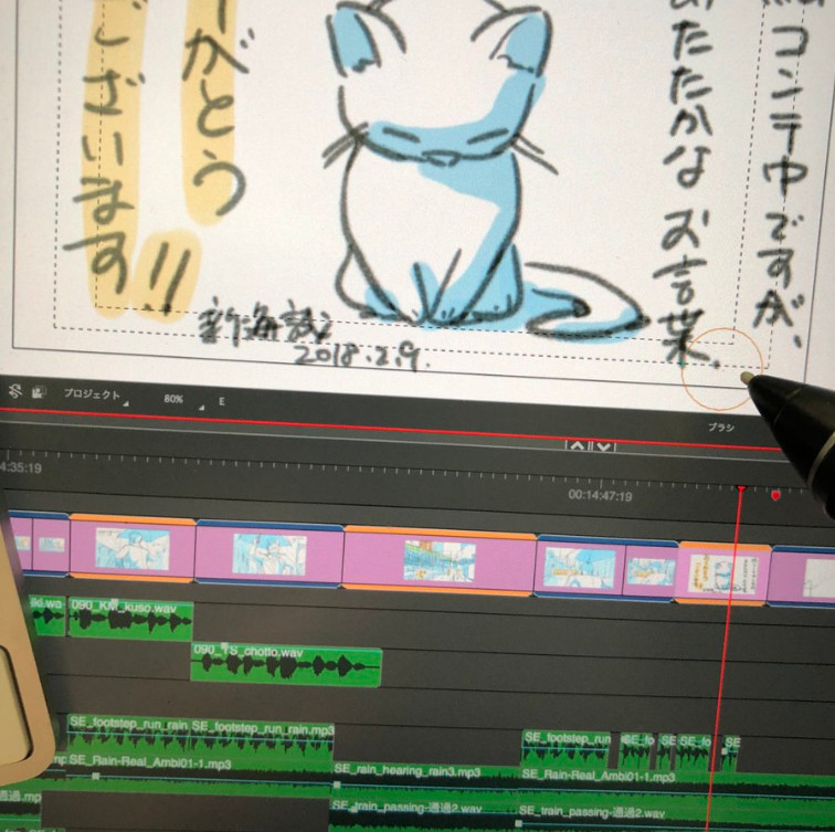 新海诚生日用猫感谢粉丝 获佐仓绫音签名很高兴