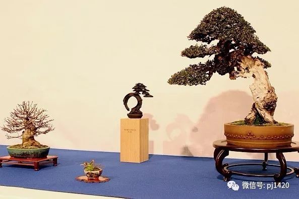 2018 欧洲顶级盆景展会