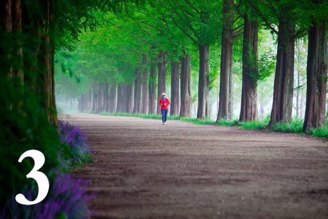 一周热闻│中牟荥阳新郑撤县改区 郑州6项目上