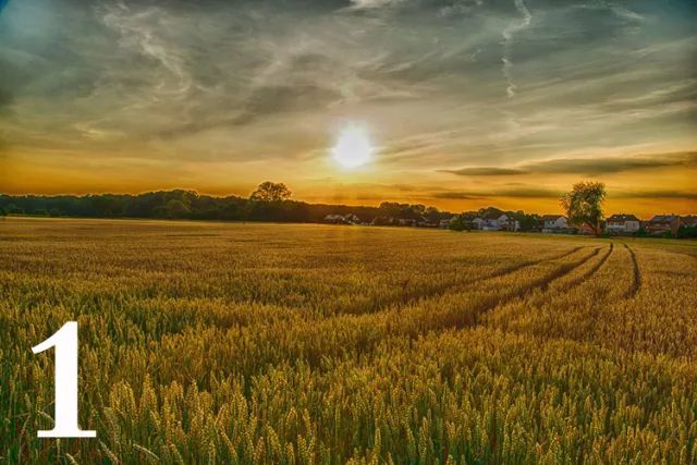 一周热闻│中牟荥阳新郑撤县改区 郑州6项目上