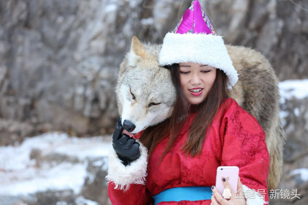 内蒙90后美女养30多只狼 整日与狼群为伴(组图) - 7