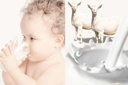 婴儿蛋白质过敏症状有哪些 如何才能彻底解决