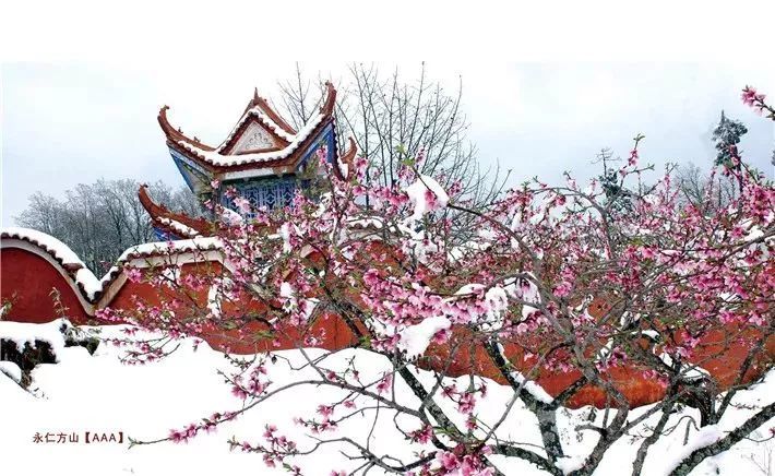 楚雄永仁方山景区