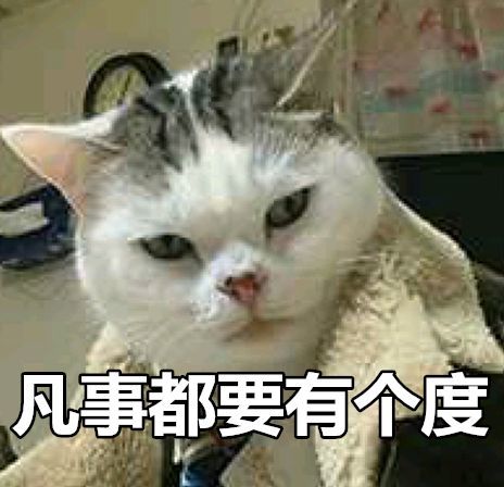 “借你家猫用一下，孩子要做寒假作业！”盘点那些新奇寒假作业 - 25