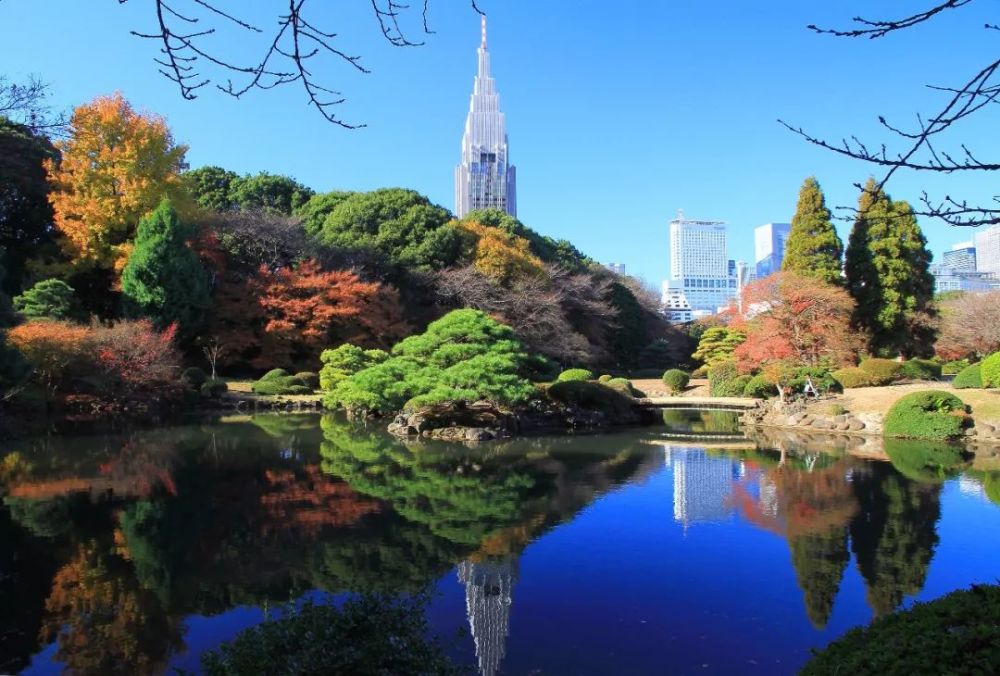 同时新宿御苑还与千鸟渊,目黑川并称为东京三大赏樱点.