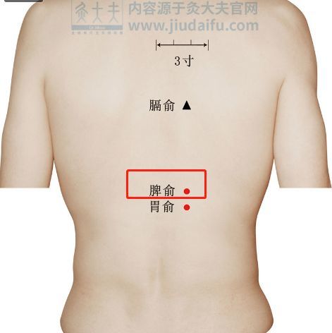 为何艾灸祛湿这么有效?看完你就知道了!