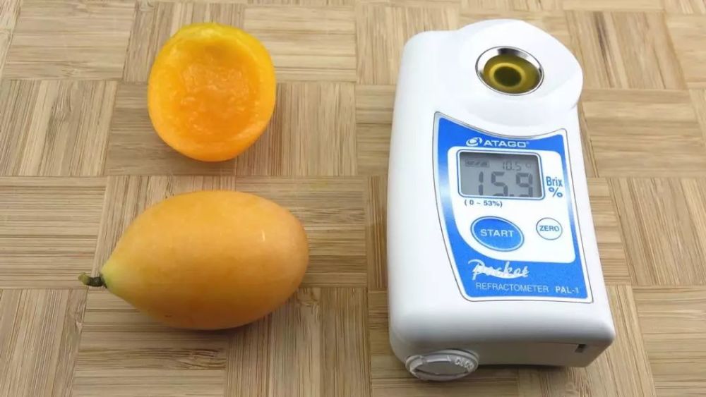 外形像枇杷的芒果,味道却很像柿子,1斤售价60