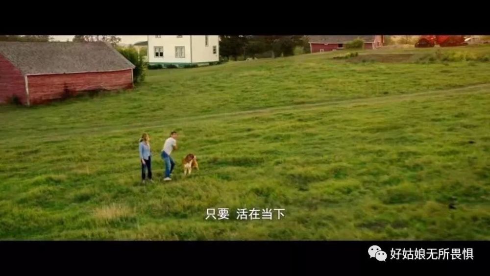 别还来不及握手,就让时间偷偷溜走