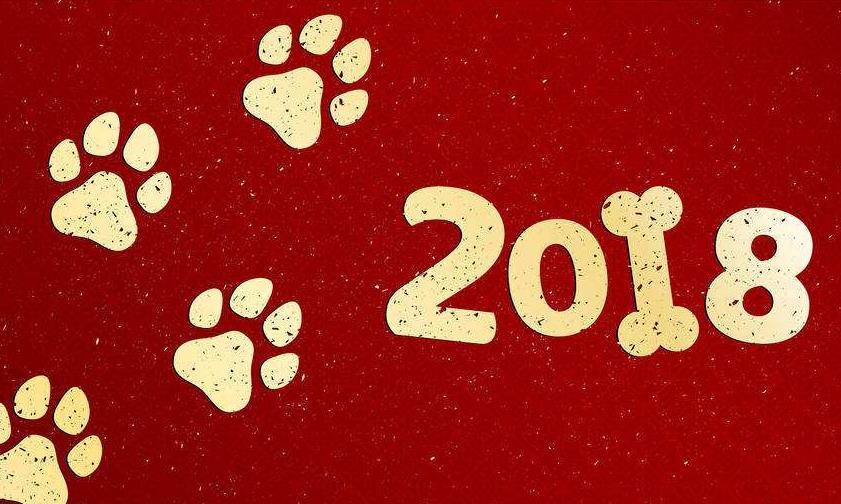 狗年汪汪汪,财神请进门,春节三大生肖连发横财