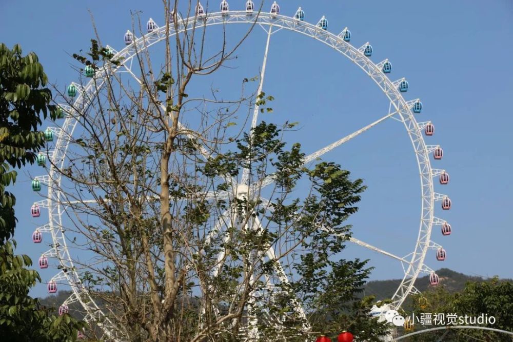 人海,花海,玻璃桥?——广东望天湖景区之行