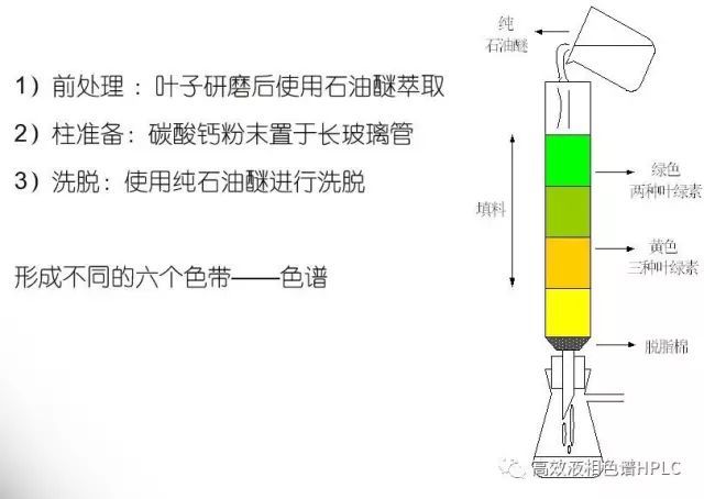 他们工作的重要意义不仅仅在于证明了蛋黄叶黄素是试化类胡萝卜素的