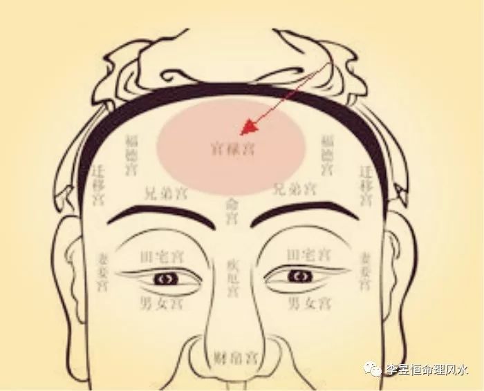 面相:官禄宫伏犀贯顶,财运丰隆有功名!