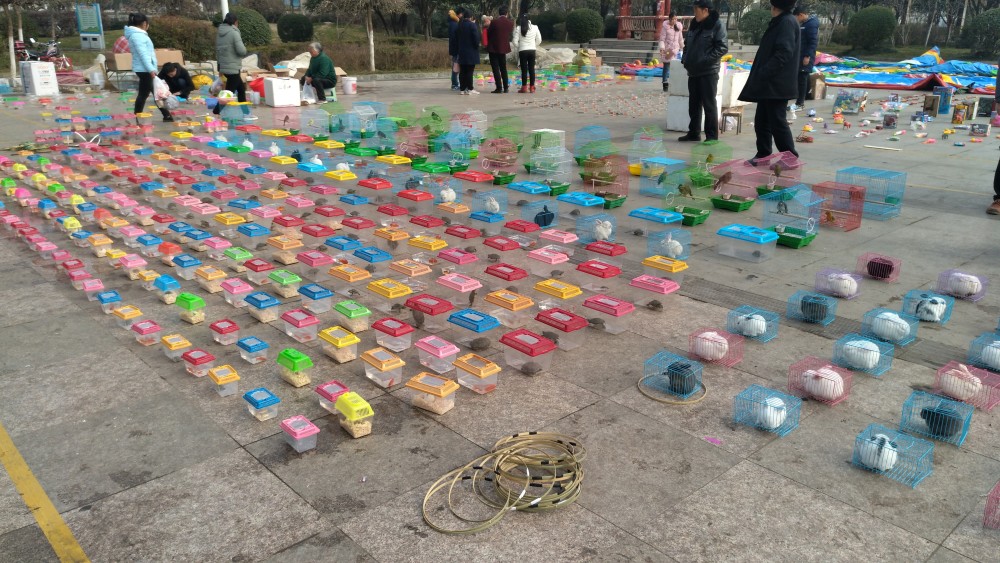 春节地摊套圈游戏暗藏猫腻 不知不觉诓人钱财