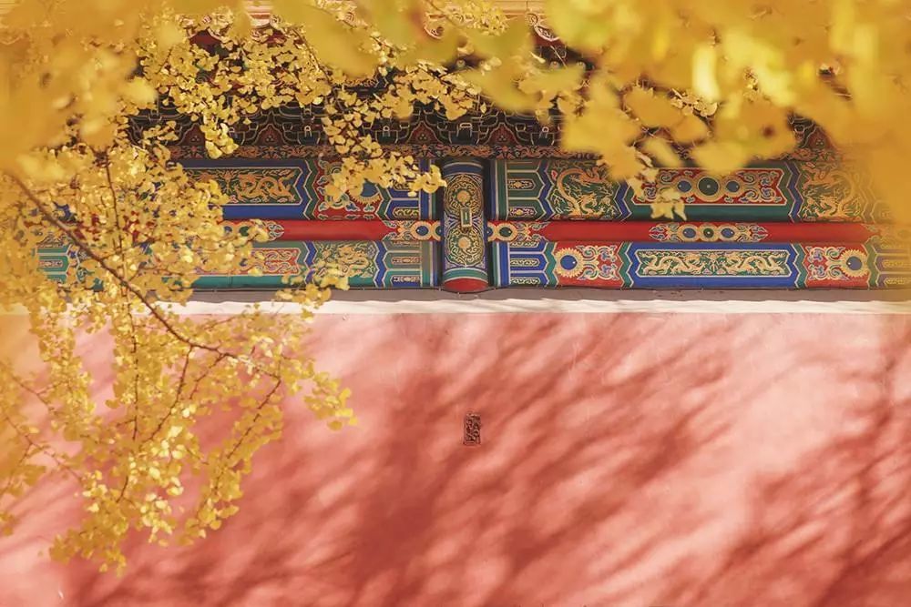 TA们才是故宫里最灵动的宝藏?见到过的人都