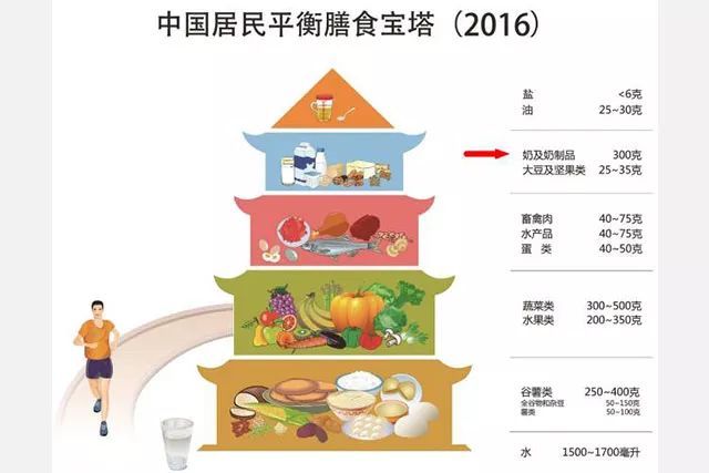 根据中国营养学会发布的中国居民膳食宝塔我们可以看出, 奶及奶制品