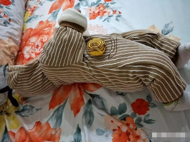 怀孕8周了,每天一看见肉就想吐,吃了蔬菜也很