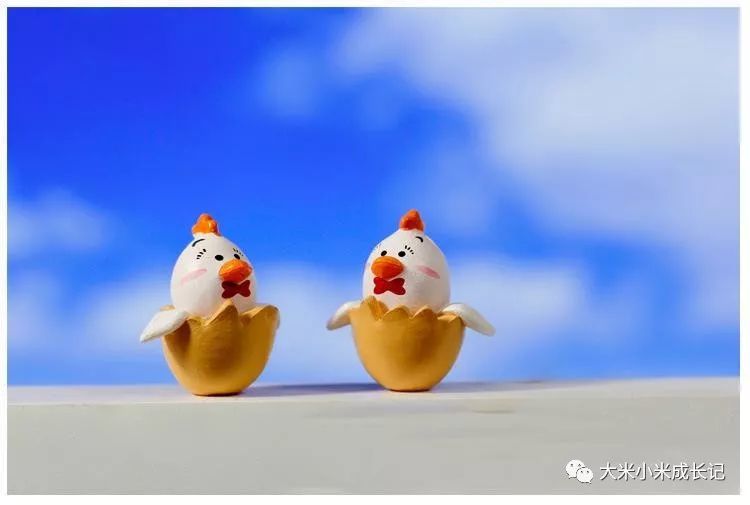 大米小米诞生记