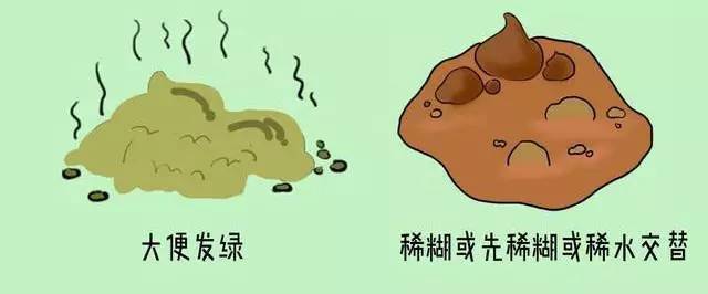 宝宝大便稀绿、吐奶、有痰等宝宝常见问题大全