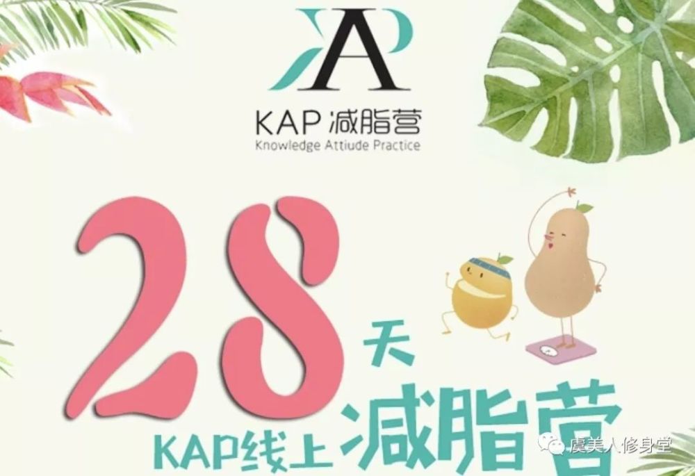 2018年新年减肥计划书