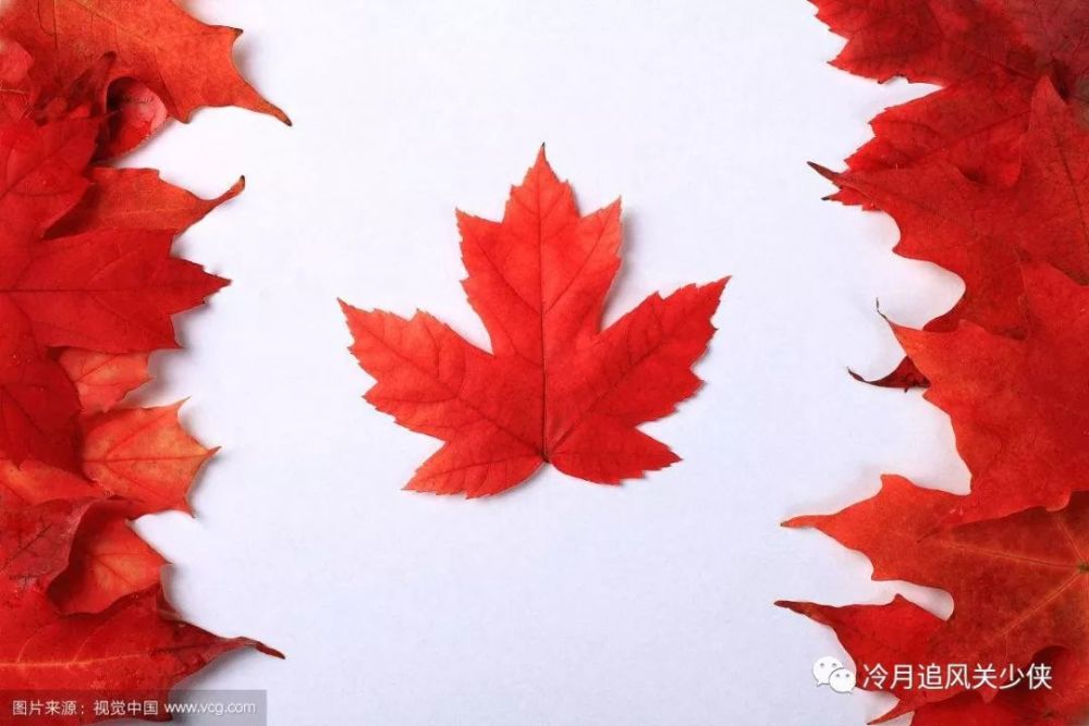 在枫叶国际学校在加拿大学习的费用：一年在加拿大学习需要多少钱？ 