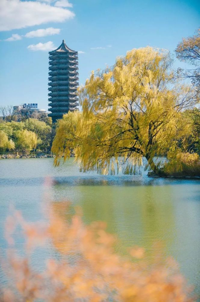 北大给您拜年了!请签收一封来自100871的明信片