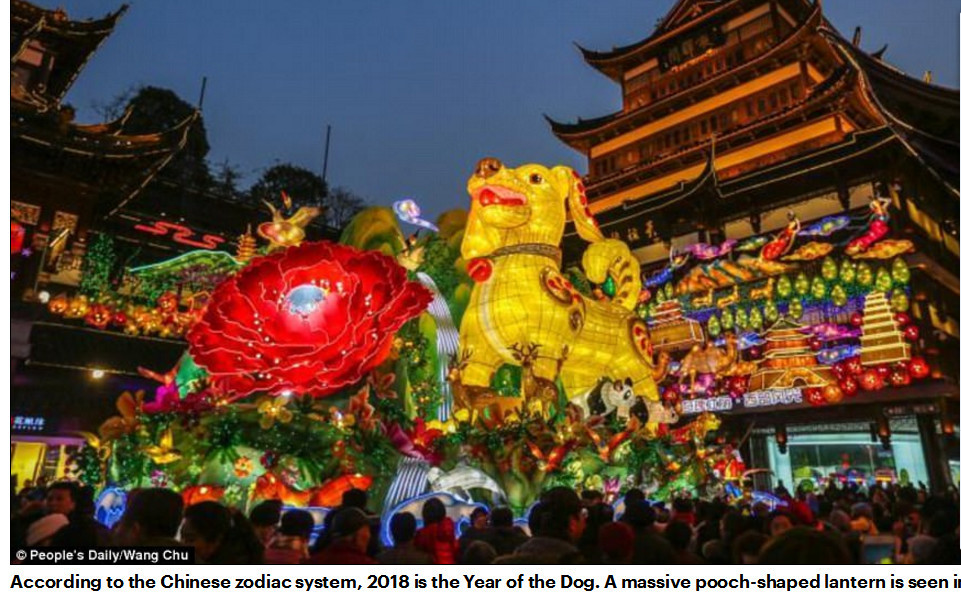 外媒报道全世界华人迎新年,舞狮灯笼饺子展现