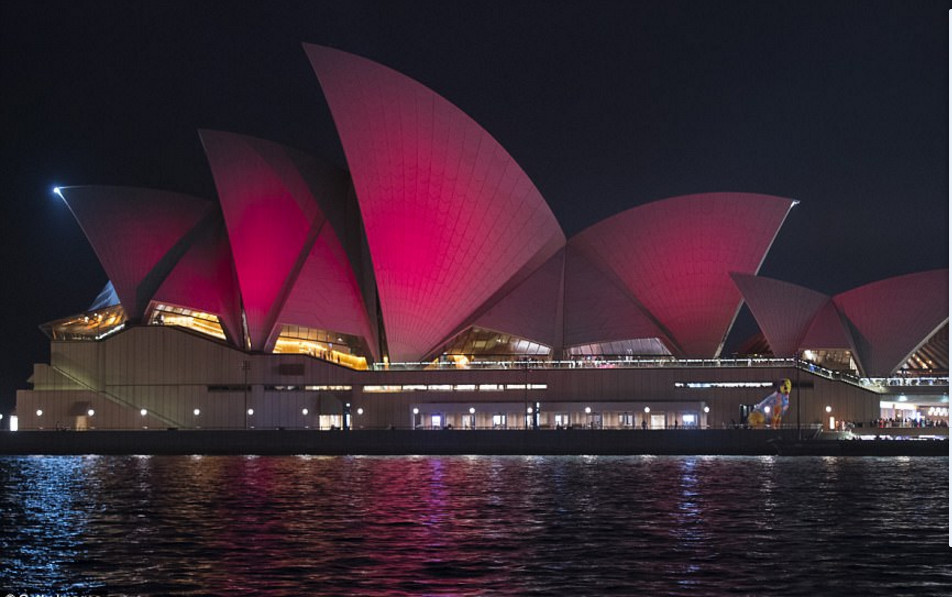 外媒报道全世界华人迎新年,舞狮灯笼饺子展现