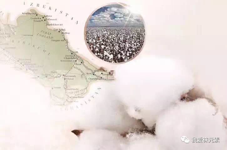 袜元素四大成分之一精梳棉-天天快报