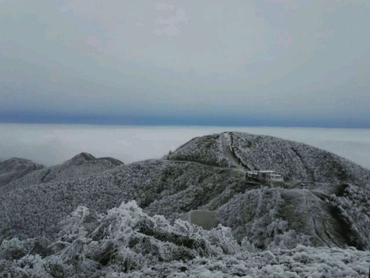 这个冬天,如果你想看到雪 那么你可以登上药姑山顶峰 这里千里冰封