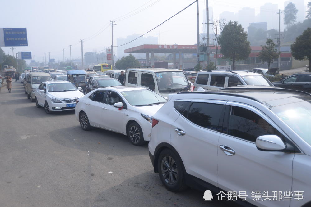 图为众多车辆被堵在骏马大道上.