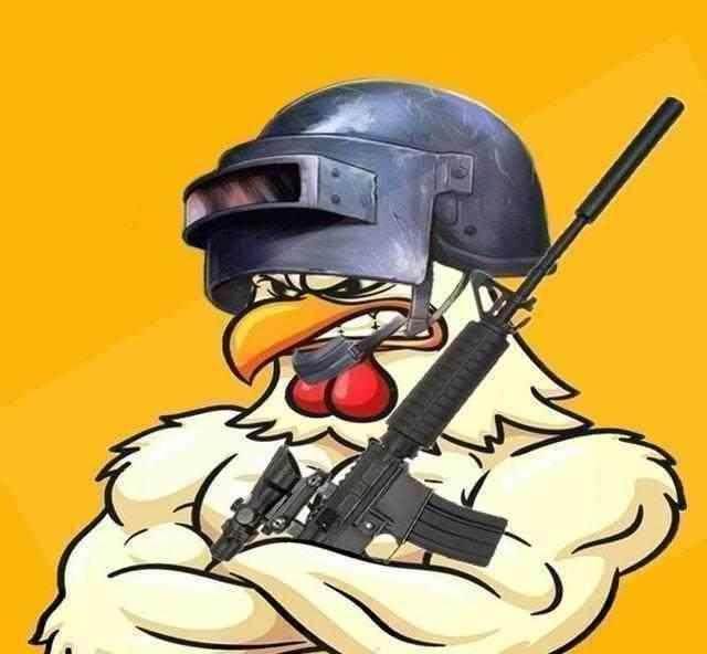 绝地求生:国服即将上线,将关闭外服加速器?ste