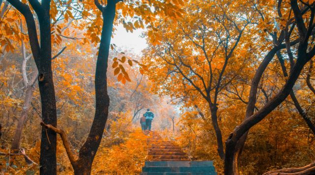 过年拒绝低头族 这些歌能让大家一起嗨