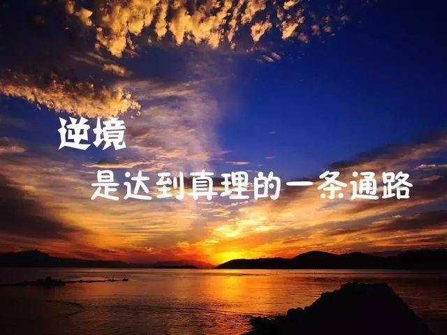 早安励志图片句子:奋斗是一种乐趣,追求是一种动力