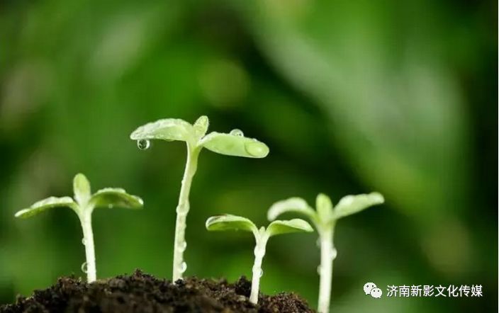 天街小雨润如酥,草色遥看近却无