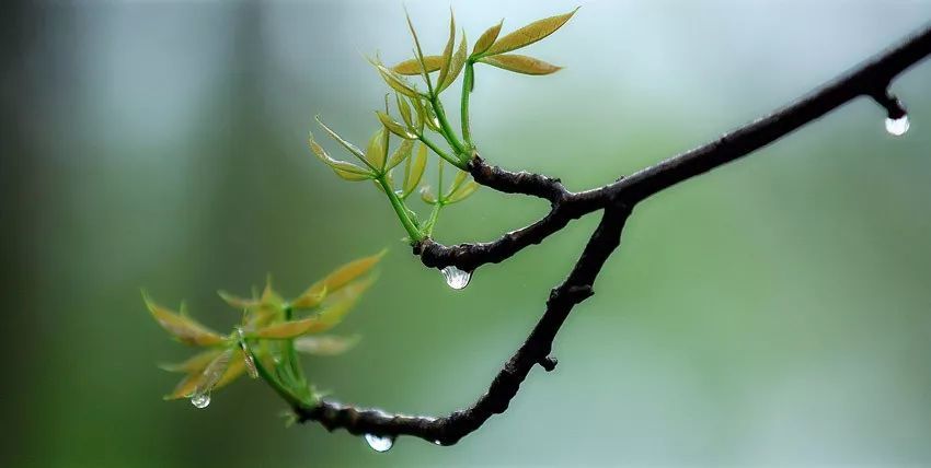 心累了,听一曲萨克斯《微风细雨》,让心归于宁静