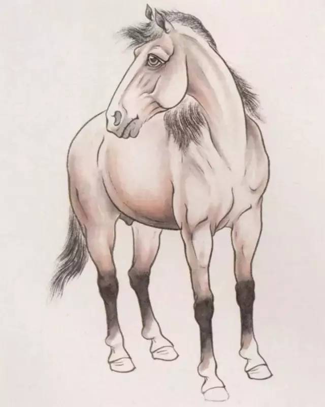 写意马,工笔马的绘画技法