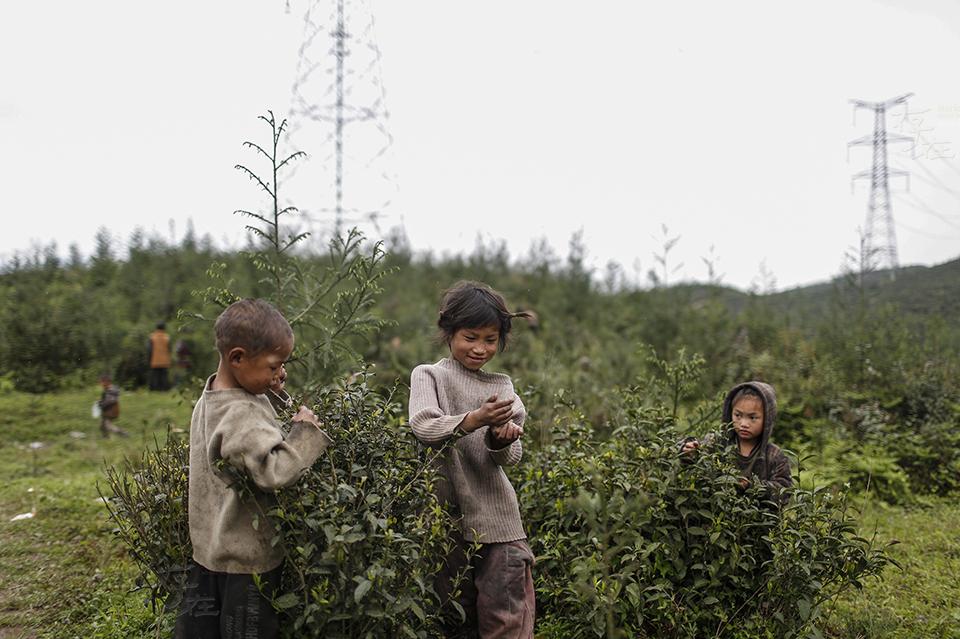 劳教农场里300多个失学儿童的读书梦_腾讯网
